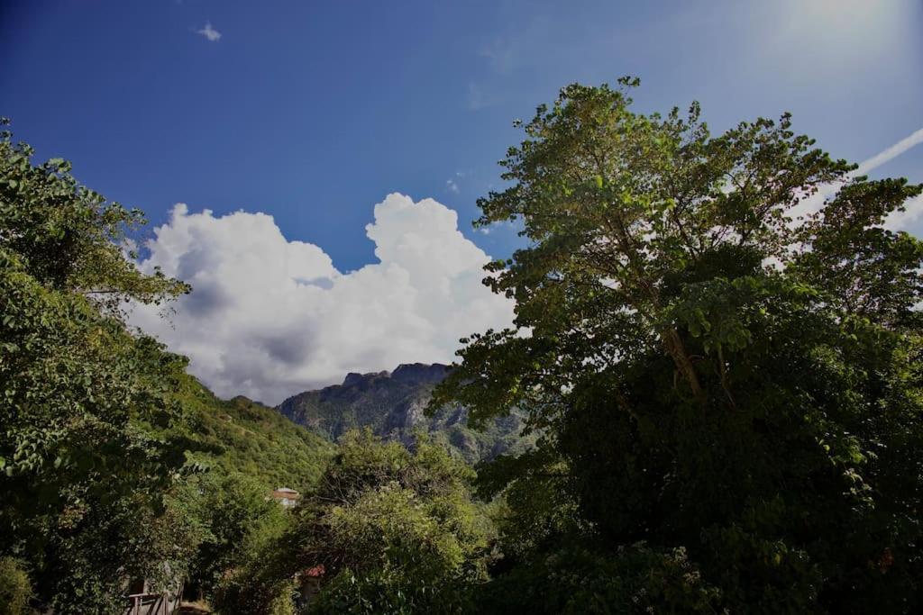 Mountain Harmony Home Κόνιτσα Εξωτερικό φωτογραφία